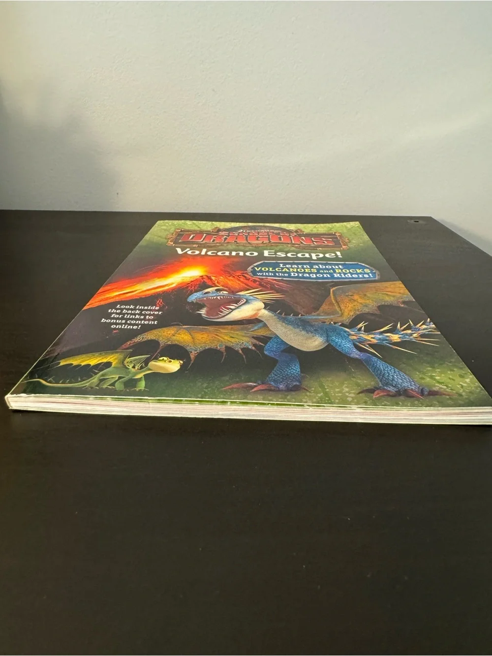 School of Dragons Volcano Escape non-fiction book How to Train Your Dragon